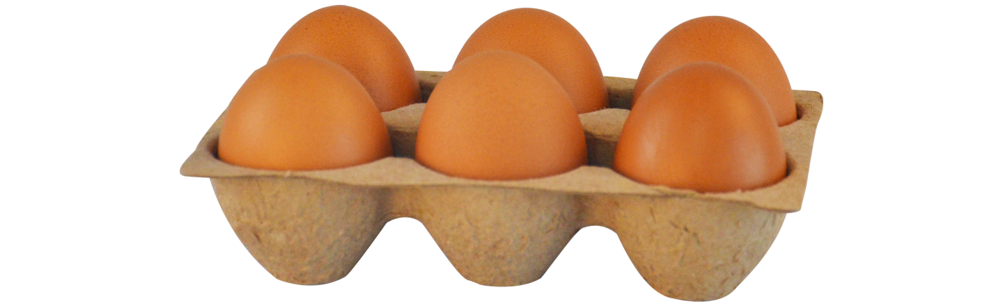 6 egg tray flats