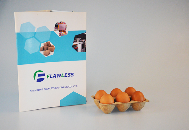6 cells egg tray