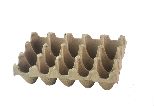 15 cells egg tray