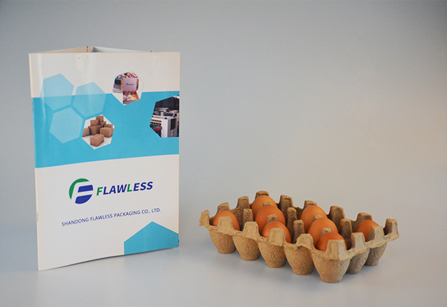 15 Paper Egg Tray Holder