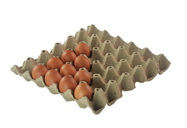30 Pulp Fiber Egg Tray Holder