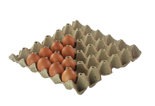 30 cells egg tray