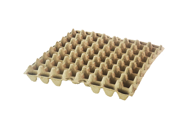 56 cells quail egg tray