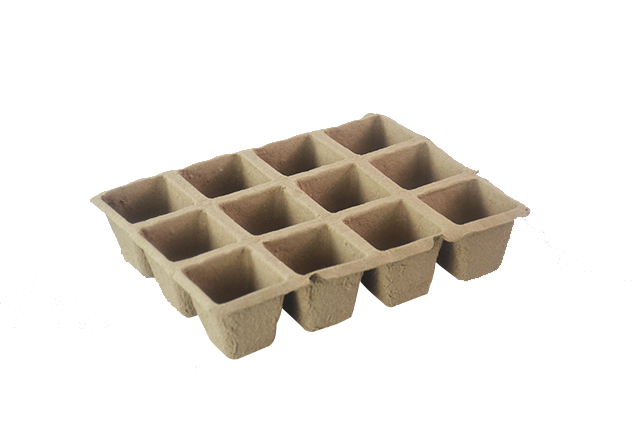 12 Seedling Cup- square