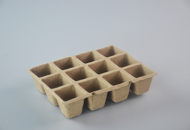 12 Seedling Cup- square