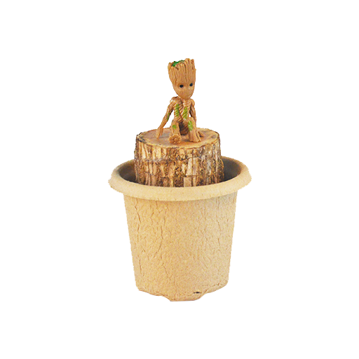 1 Seedling cup