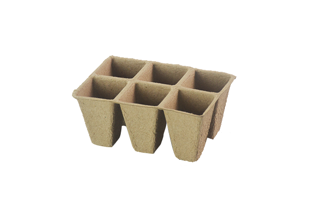6 Seedling cup