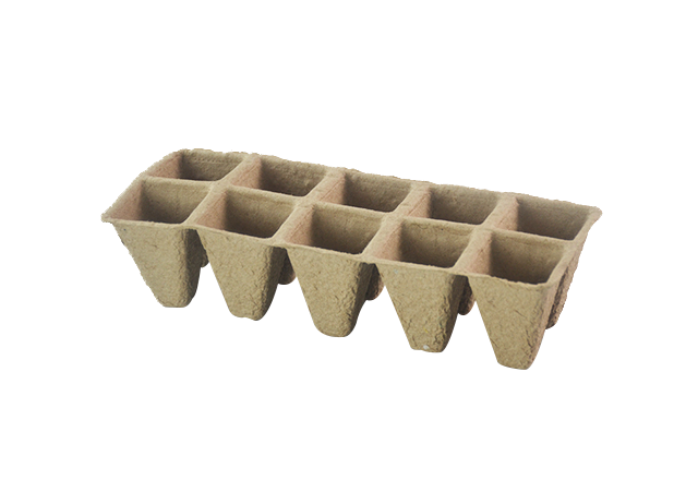 10 Seedling cup