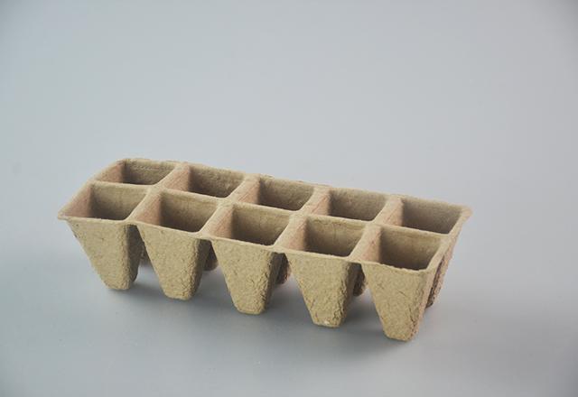 10 Seedling cup