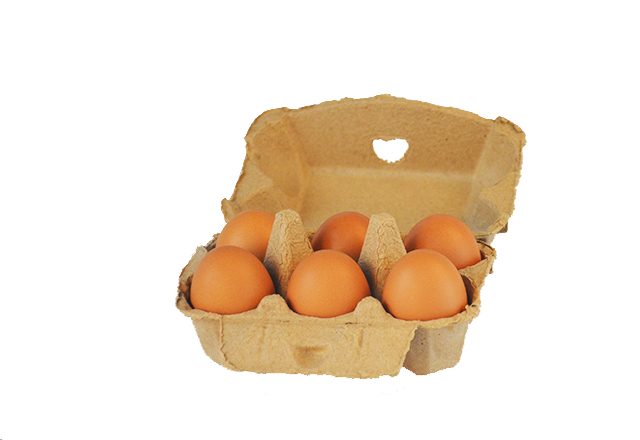 6 cells egg carton- Natural