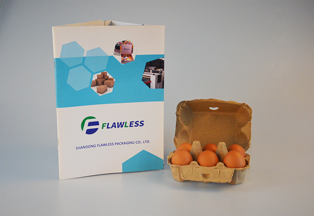 6 cells egg carton- Natural