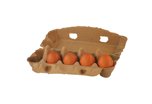 10 cells egg carton