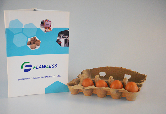 10 cells egg carton