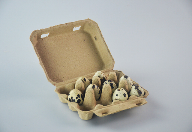 12 cells paper pulp quail egg carton Reusable Egg Carton