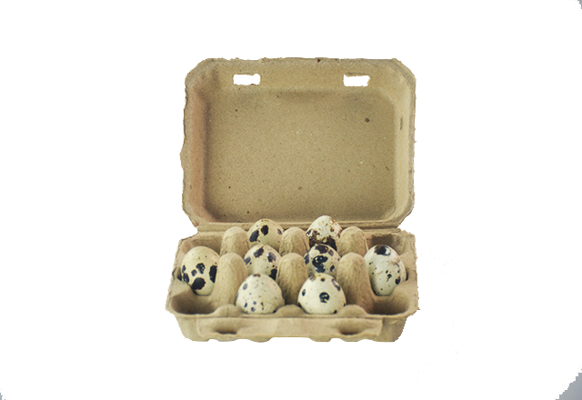 12 cells paper pulp quail egg carton Reusable Egg Carton