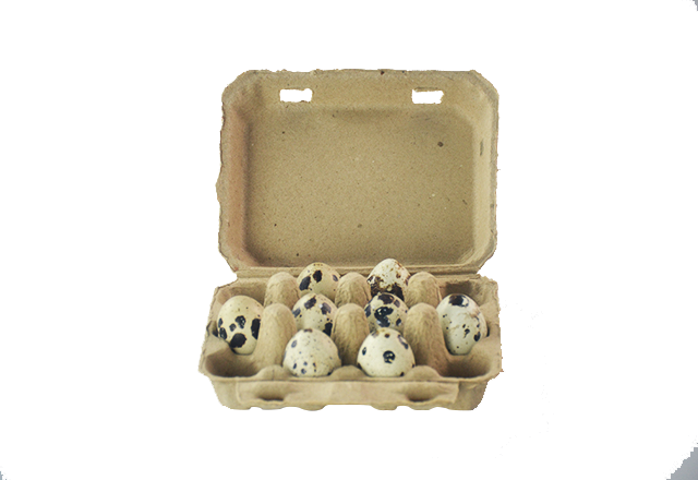 12 cells quail egg carton- Natural