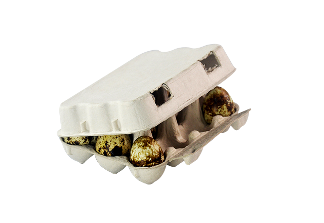12 cells quail egg carton- White