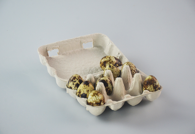 12 cells quail egg carton- White