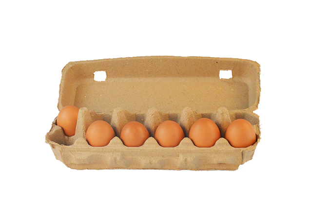 Dozen cells paper pulp egg carton