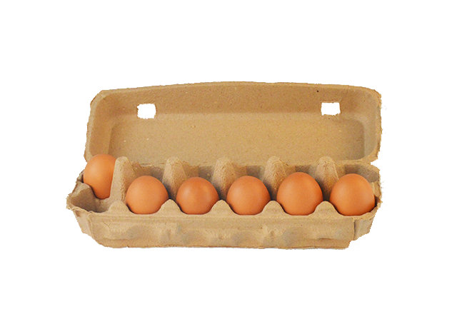 Square 12 cells egg carton- Natural