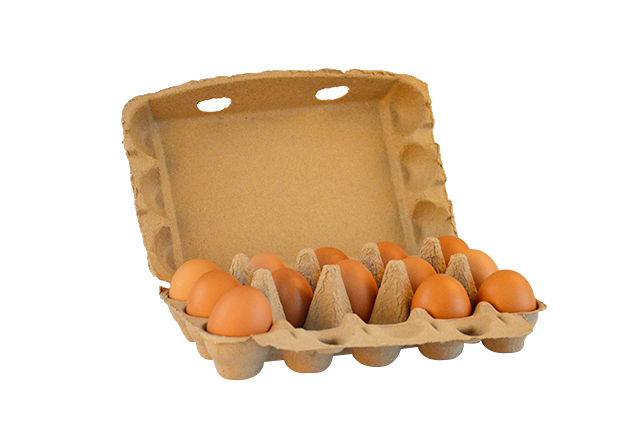 15 cells Cardboard Egg Carton