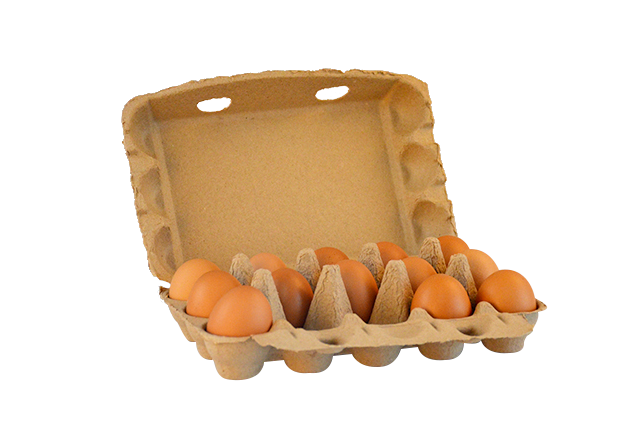 15 cells egg carton- Natural