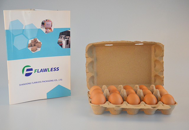 15 cells egg carton- Natural