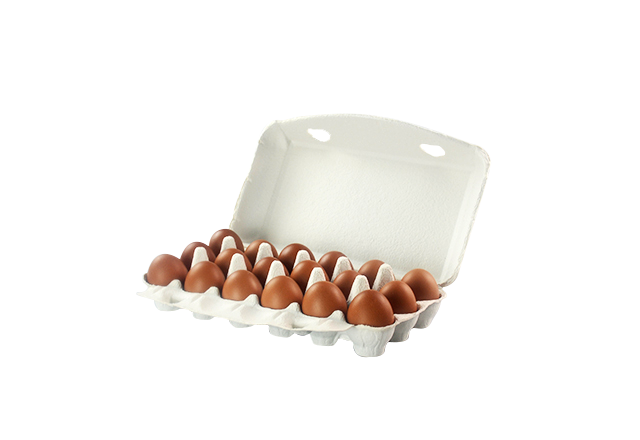 18 cells white Kraft Paper Cardboard Egg Carton