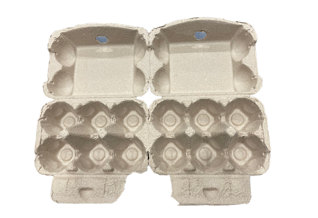6+6 egg carton