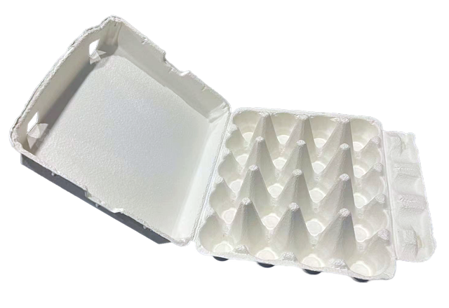 20 cell egg carton-White